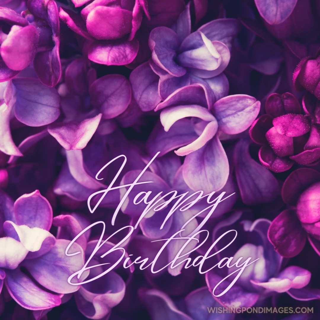 A beautiful picture of purple flower. Happy Birthday Purple Flower Images